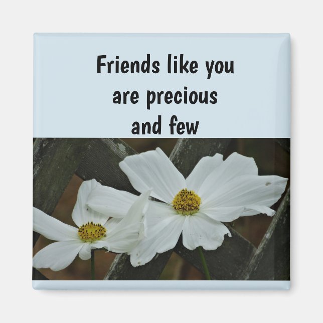 Friends like you magnet, magnet (Front)