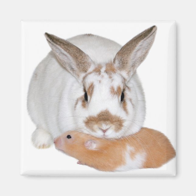 Friends Magnet (Front)