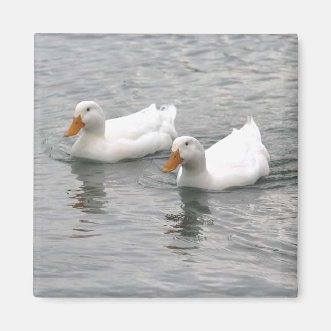 Friends Magnet (Front)