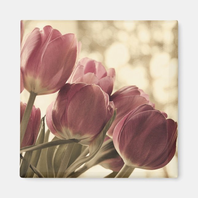 Friends Magnet (Front)