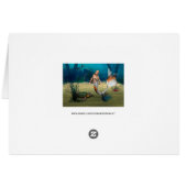 Friends Mermaid und Turtle Cards (Back Horizontal)