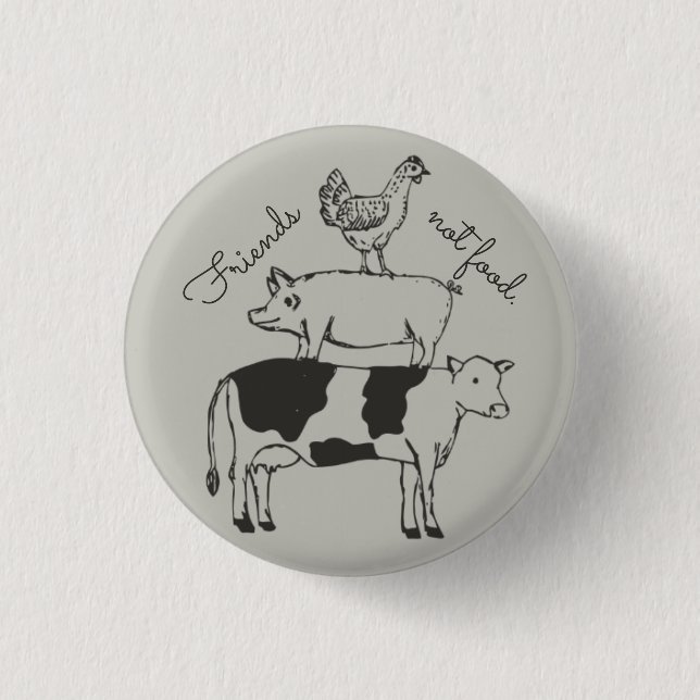 friends not food button (Front)