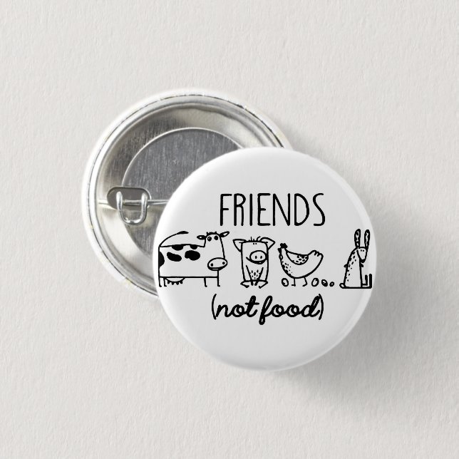FRIENDS (not food) Pinback Button (Front & Back)