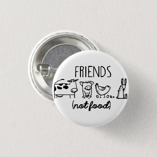 FRIENDS (not food) Pinback Button