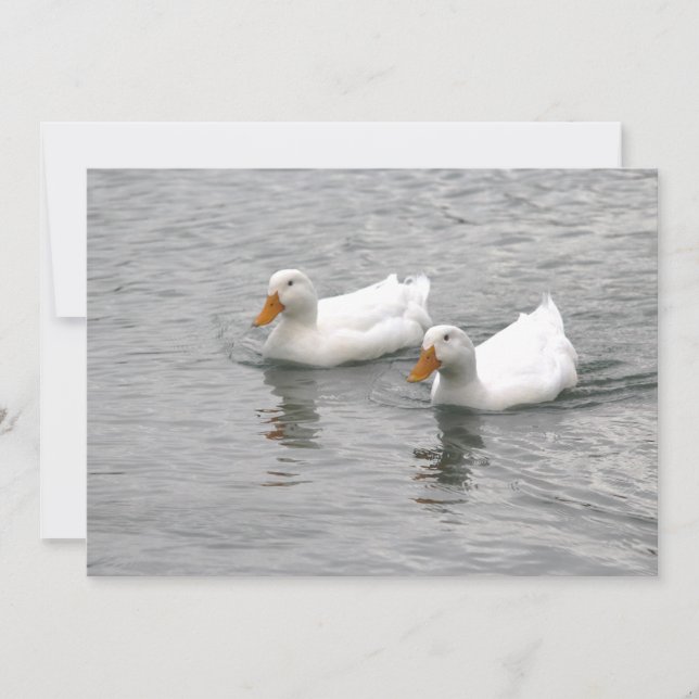 Friends Note Card (Front)