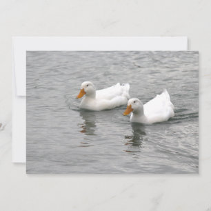Friends Note Card