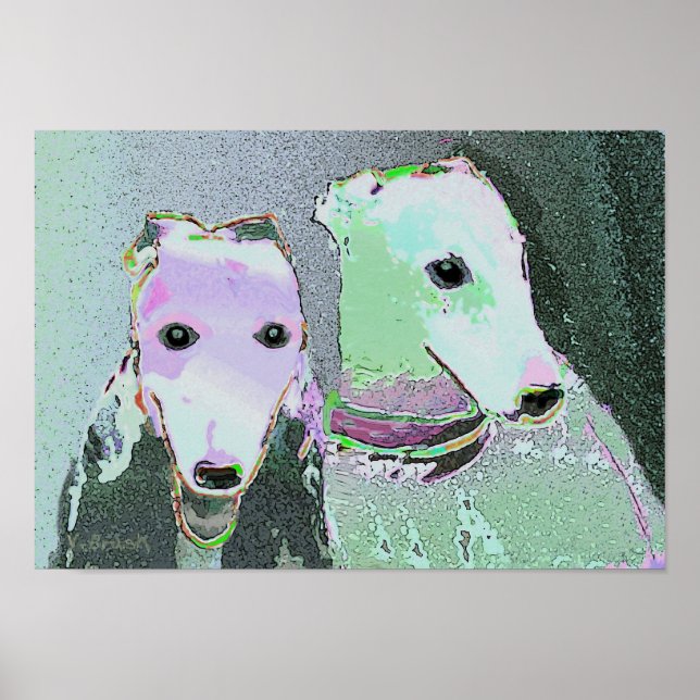 "Friends of a different color"   Poster (Front)