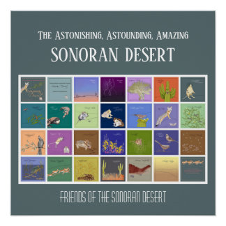 Friends of The Sonoran Desert Poster