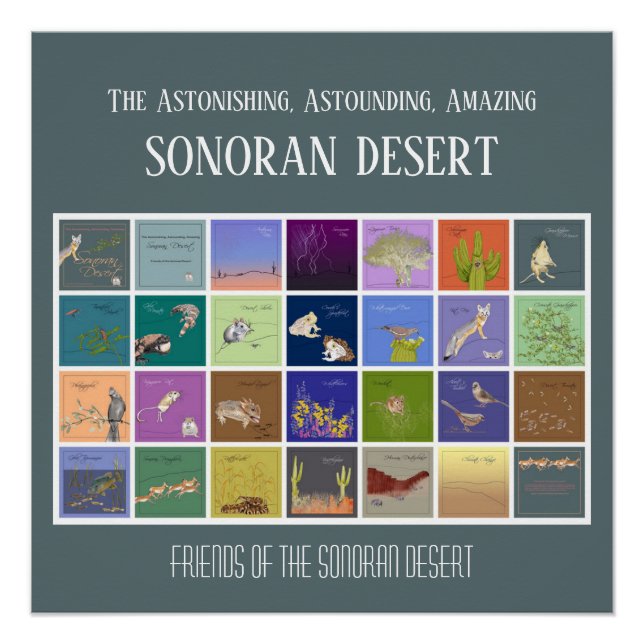 Friends of The Sonoran Desert Poster (Front)