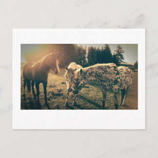 Friends on rural roadways postcard