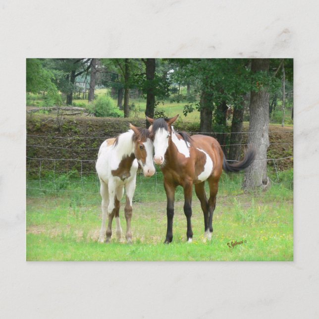 Friends Postcard (Front)