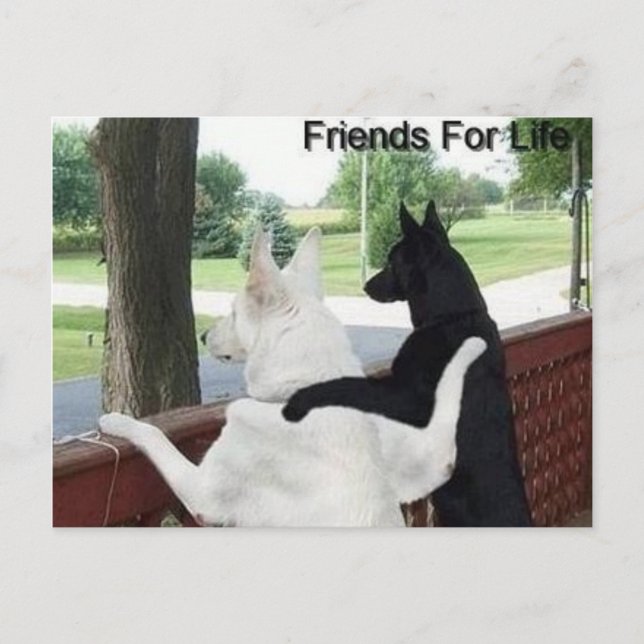 friends postcard (Front)