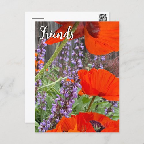 Friends Red and Purple Flowers Photo  Postcard