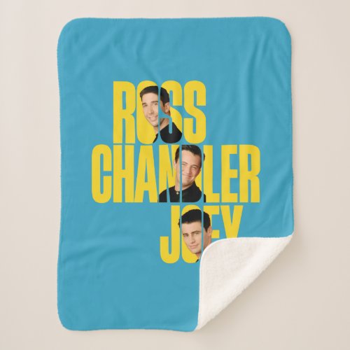 FRIENDS  Ross Chandler  Joey Sherpa Blanket