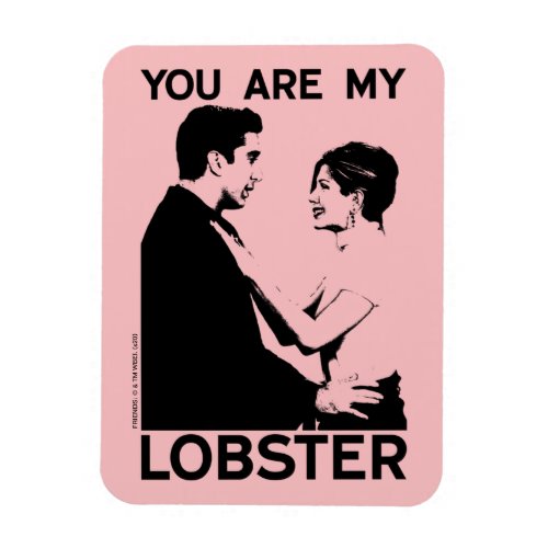 FRIENDS  Ross  Rachel _ You Are My Lobster Magnet
