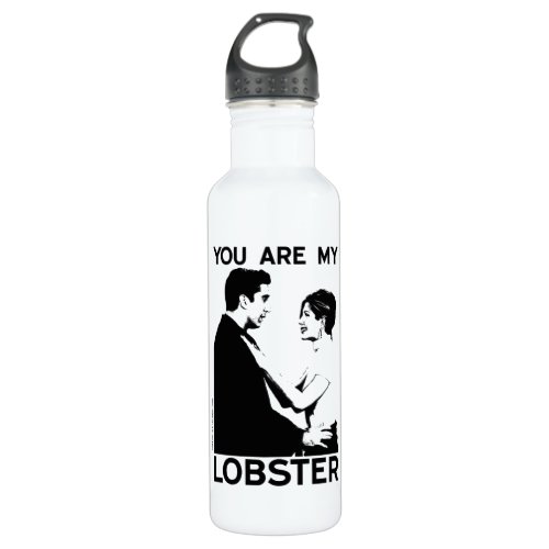 FRIENDS  Ross  Rachel _ You Are My Lobster Stainless Steel Water Bottle