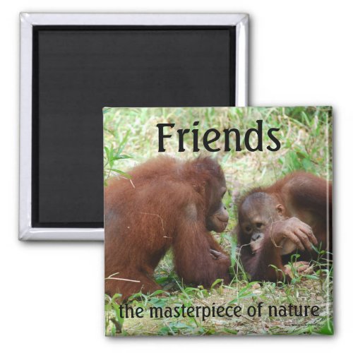 Friends square magnet