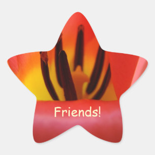 Friends! Star shaped stickers Cards Seals