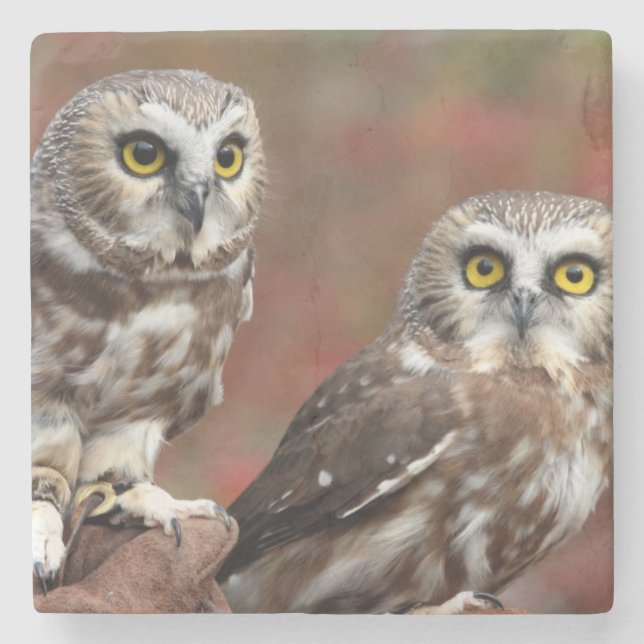 Friends Stone Coaster (Front)