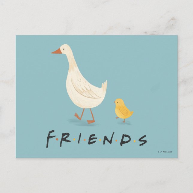 FRIENDS™ | The Chick and the Duck Postcard (Front)