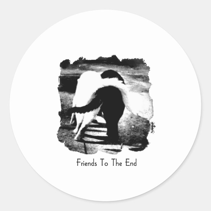 Friends to the End   cat Round Stickers