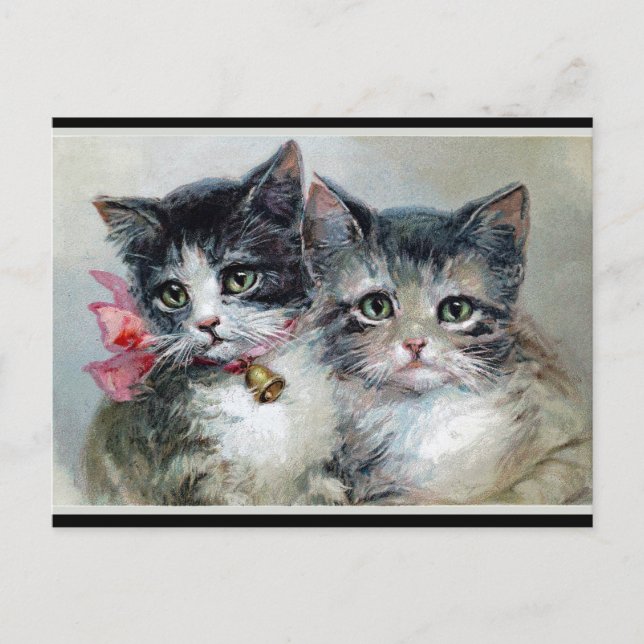 Friends, two cute kittens, postcard (Front)