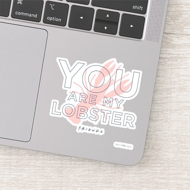 FRIENDS™ | You are My Lobster Sticker (Detail)