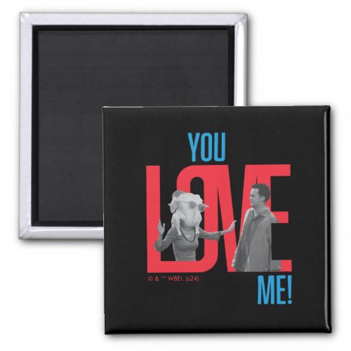 FRIENDS  You Love Me Quote Magnet