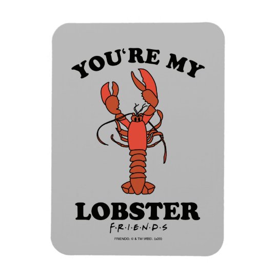 youre my lobster teddy