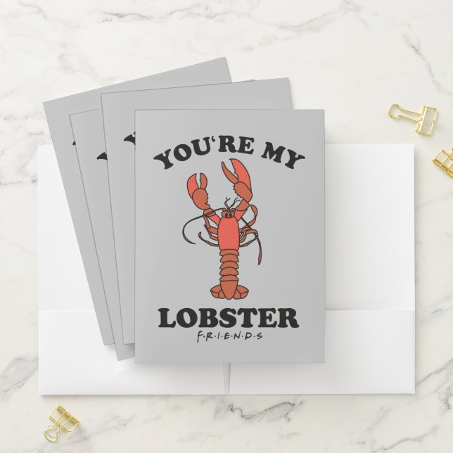 FRIENDS™ | You're my Lobster Pocket Folder (In Situ)
