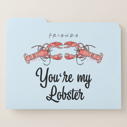 Friends™ Youre My Lobster Watercolor Quote File Folder Zazzle