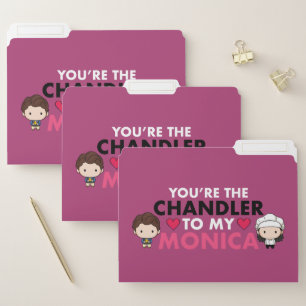 FRIENDS™   You're the Chandler to my Monica File Folder