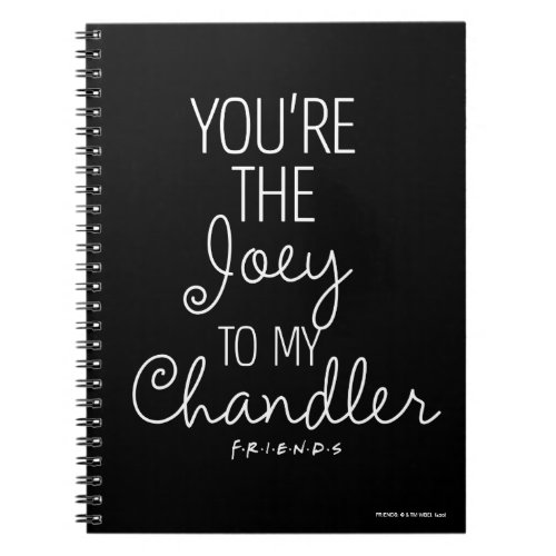 FRIENDS  Youre the Joey to my Chandler Notebook