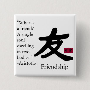 Friendship 1 pinback button