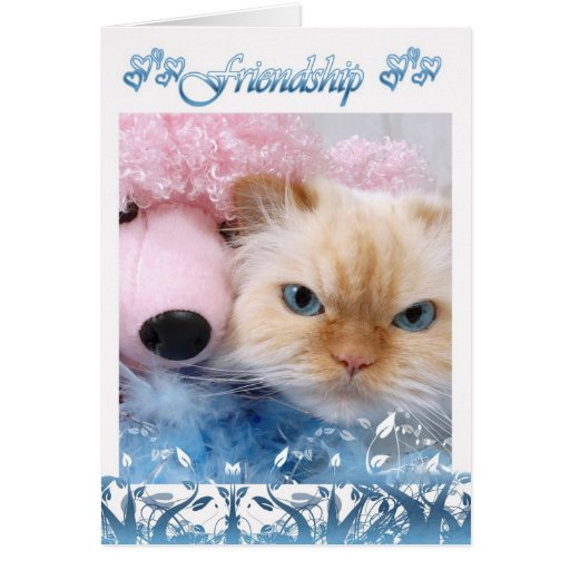 Friendship Birthday Card Pretty Cat with fluffy do | Zazzle