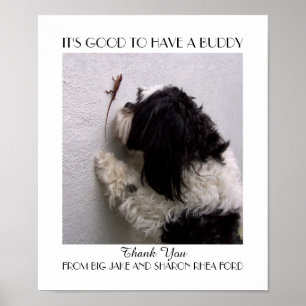 Friendship Buddy Poster with My Dog