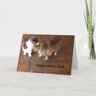 Friendship Card, Peach Canyon Winery Cats Card