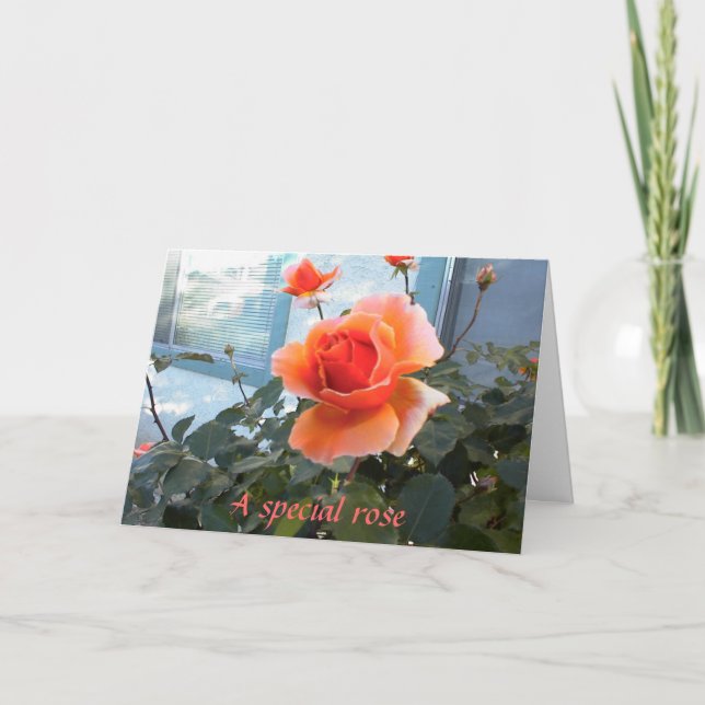 Friendship card with coral rose. (Front)