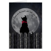 friendship-cat in the moonlight on fence (Front)