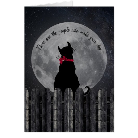 friendship-cat in the moonlight on fence cards (Front)