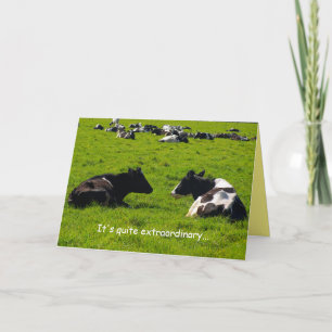 Friendship, country scene, farm, funny, cows card