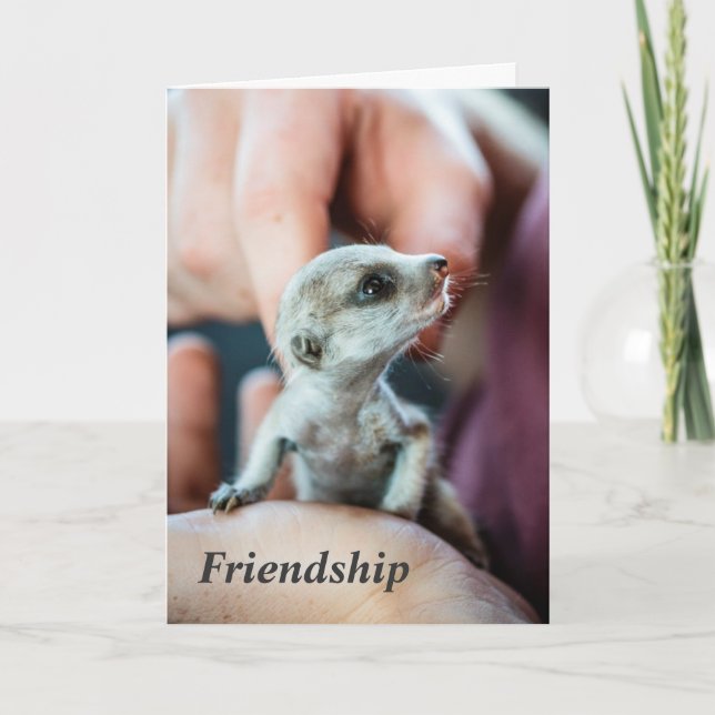 Friendship - FKMP Seasons Greetings Holiday Card (Front)