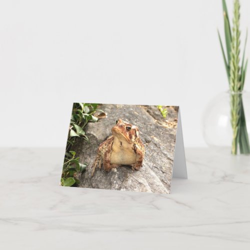 Friendship frog toad greeting card