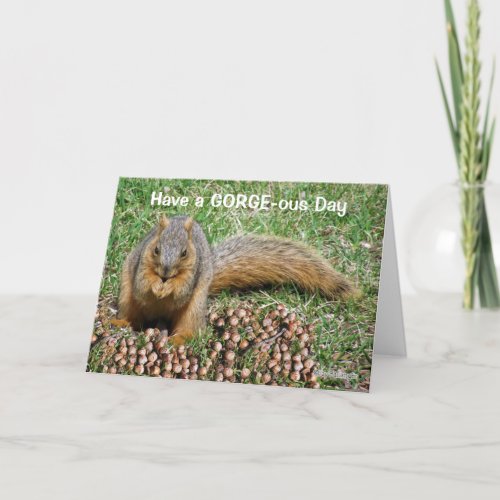 Friendship Funny Squirrel Eating Acorns Thank You Card