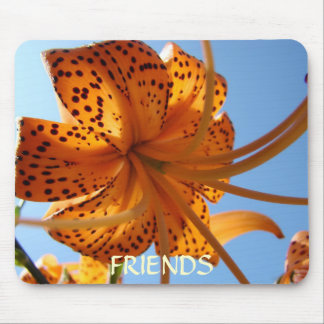 FRIENDSHIP GIFTS Mousepad Orange Tiger Lily Gift