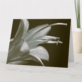 Friendship Hosta Flower, Elegant Vintage Sepia 