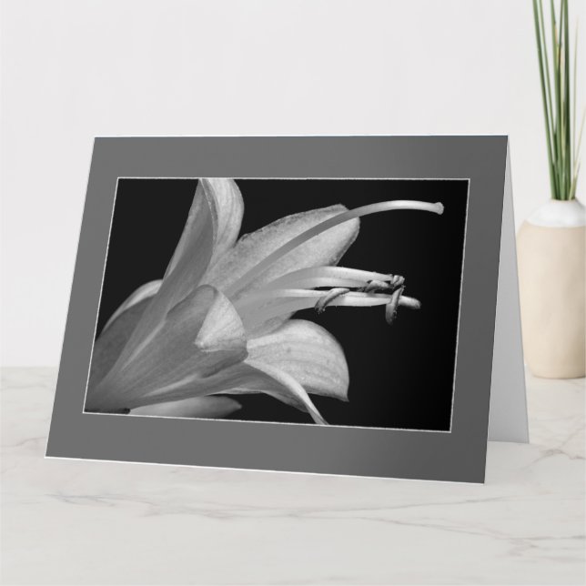 Friendship in Black and White Framed Greeting Card (Front)