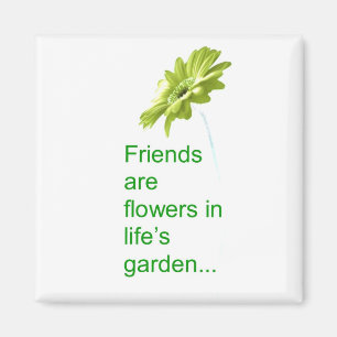 Friendship Magnet