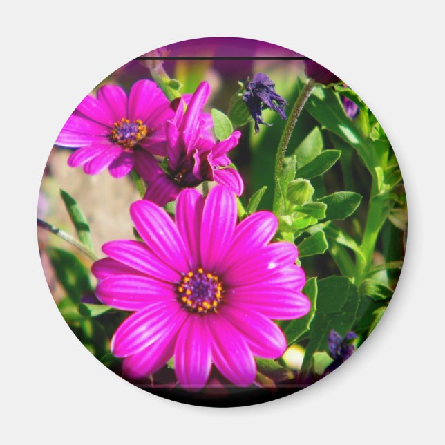 Friendship Magnet (Front)