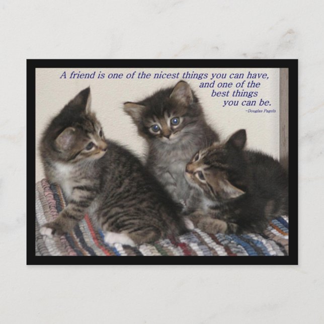 Friendship Postcard (Front)